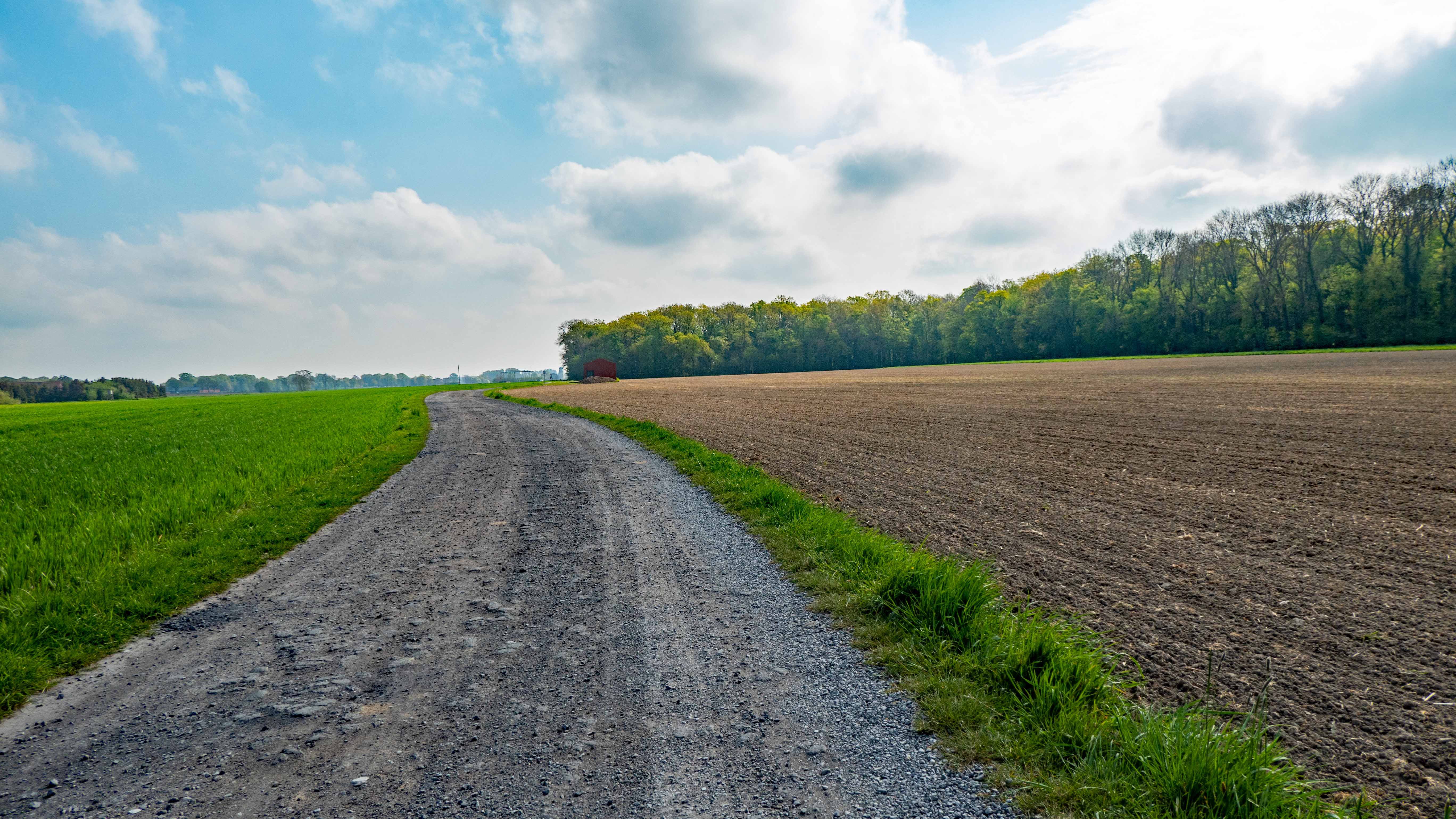 Bild  vom Wanderweg des Heimatvereins Rinkerode.