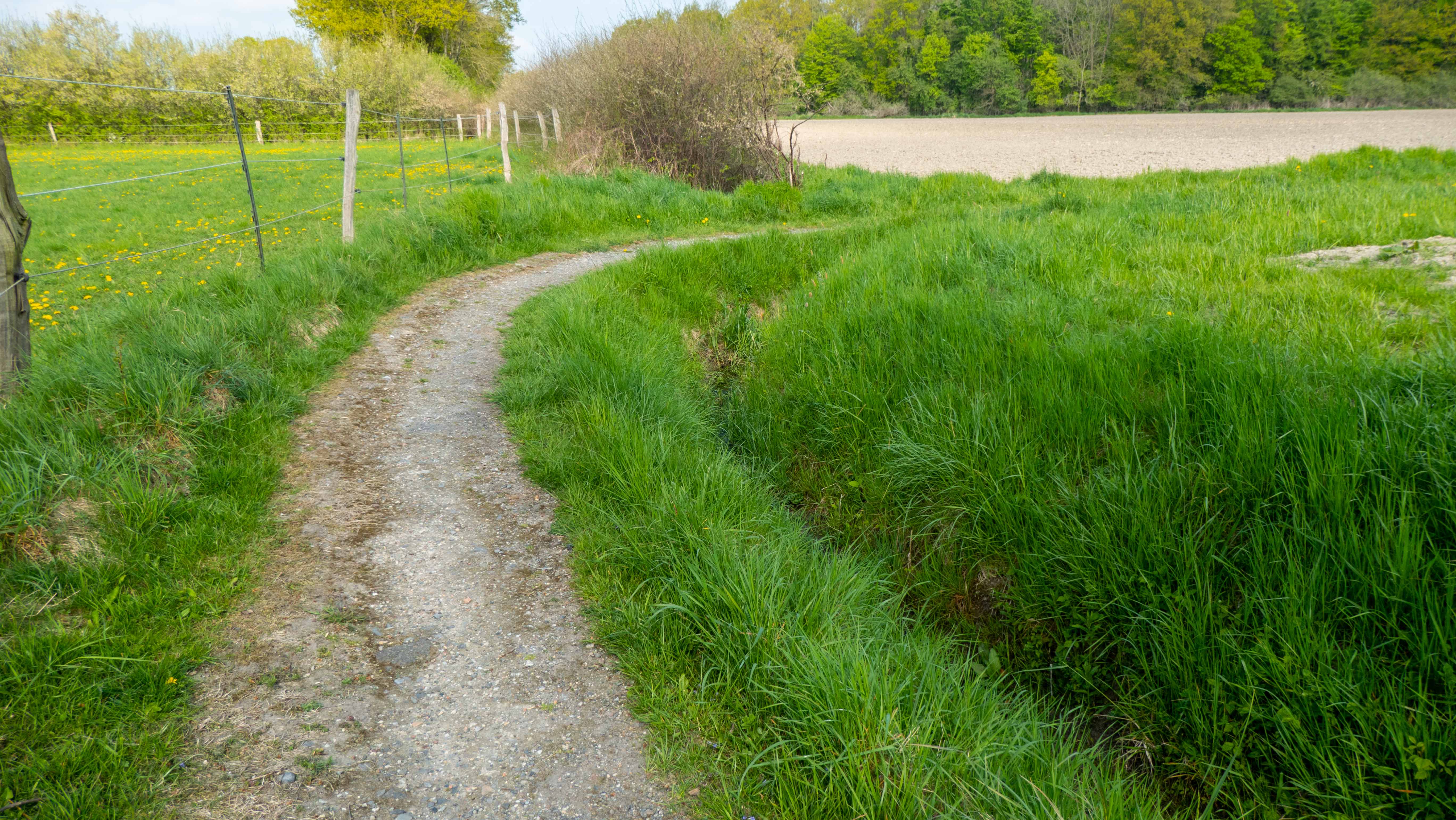 Bild  vom Wanderweg des Heimatvereins Rinkerode.