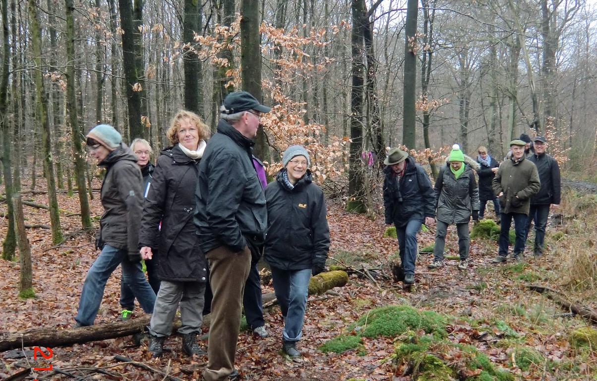 Wanderung durch den Wald