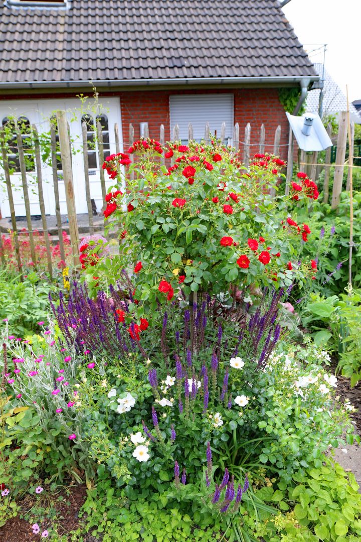 Heimatverein-Rinkerode-Garten-01-IMG_3291.JPG