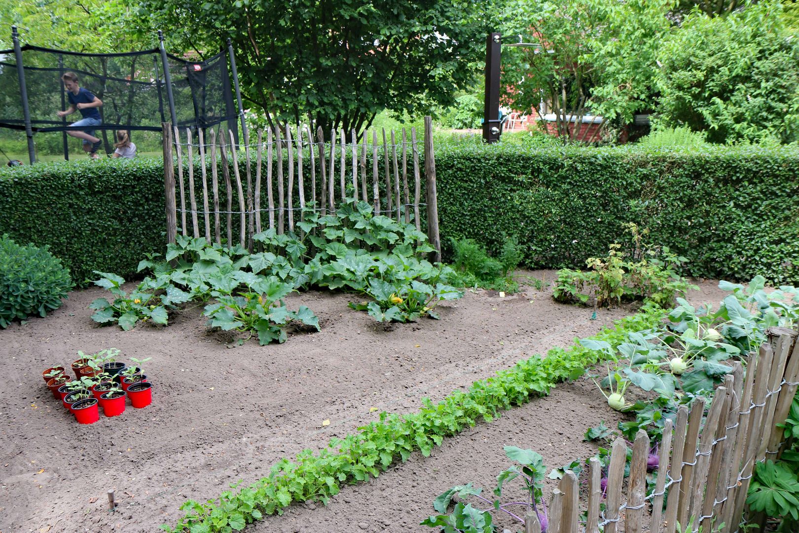 Heimatverein-Rinkerode-Garten-04-IMG_3322.JPG