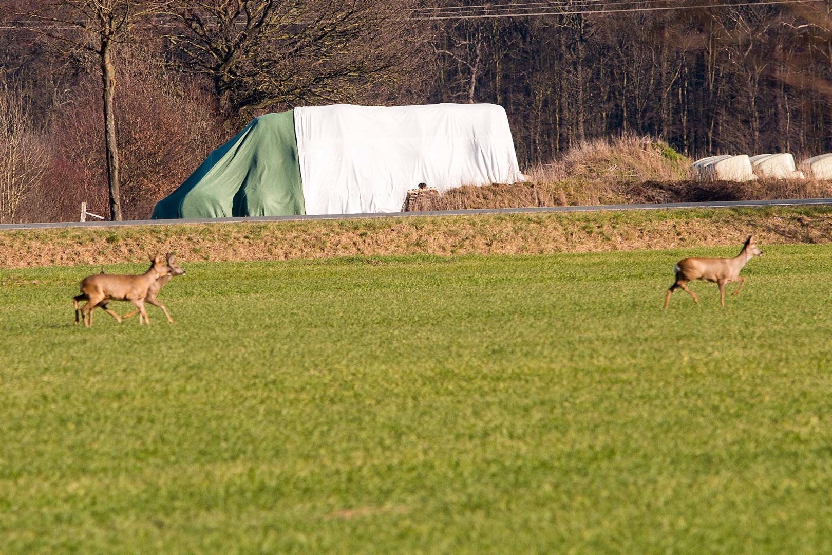 Heimatverein-Rinkerode-IMG_7004.jpg