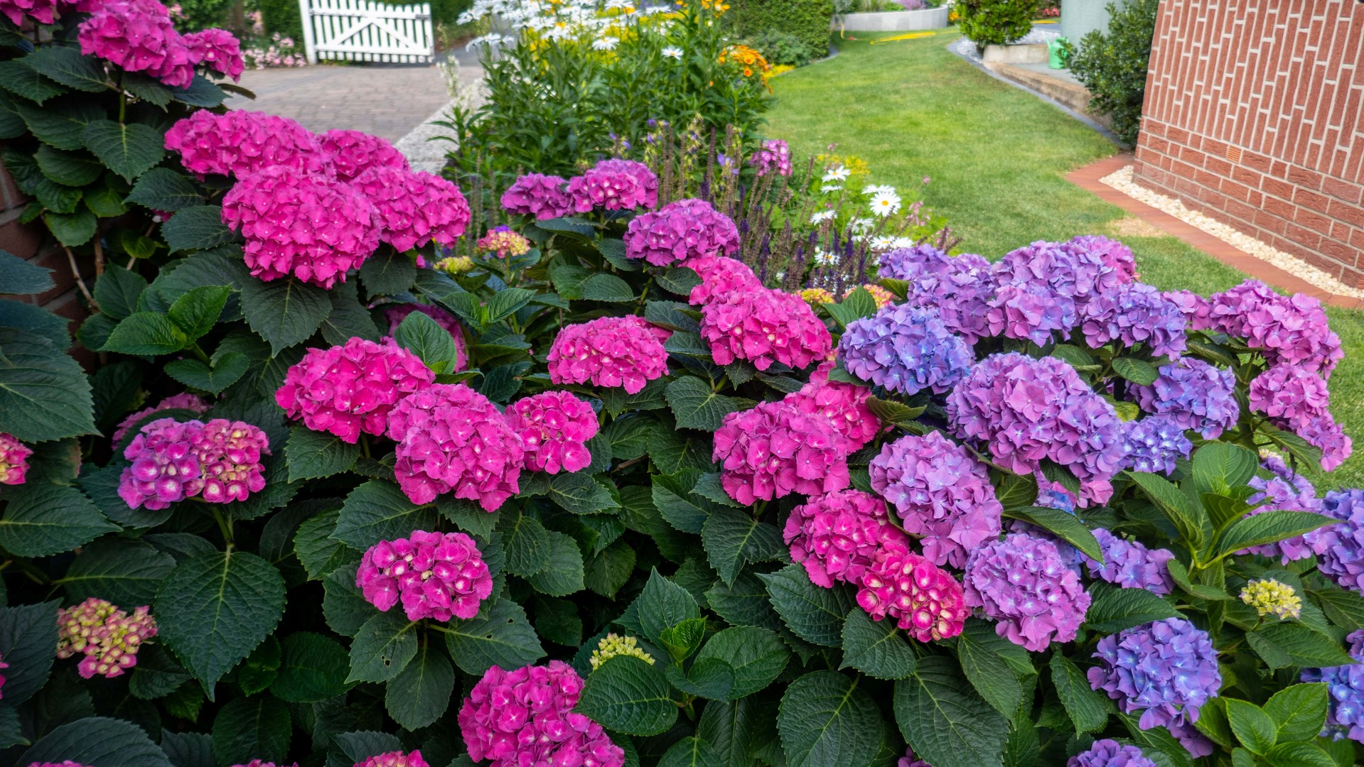 Heimatverein-Rinkerode-Gartentag-2019-P1080431.jpg