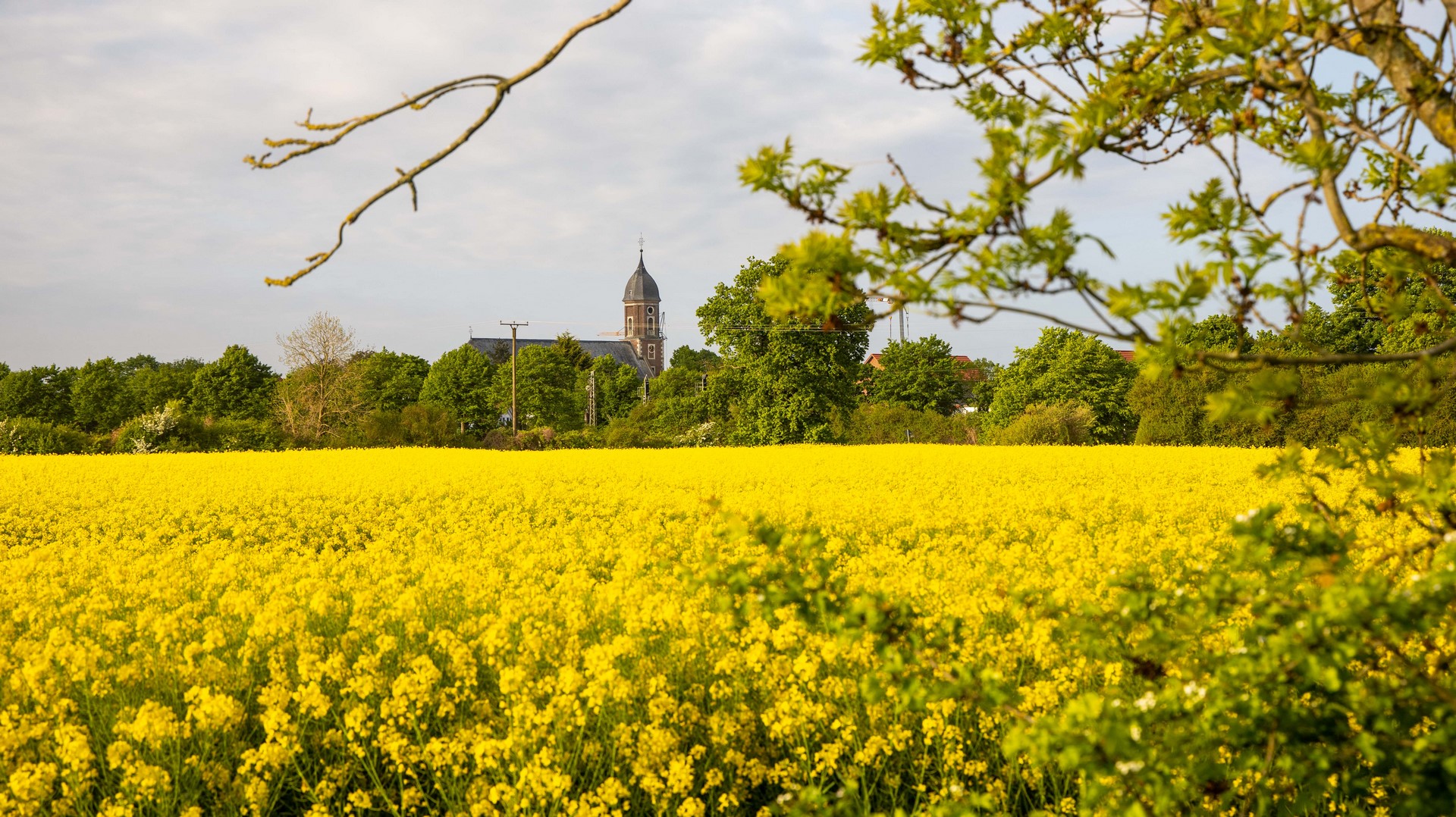 Heimatverein_Rinkerode_IMG_3521.jpg