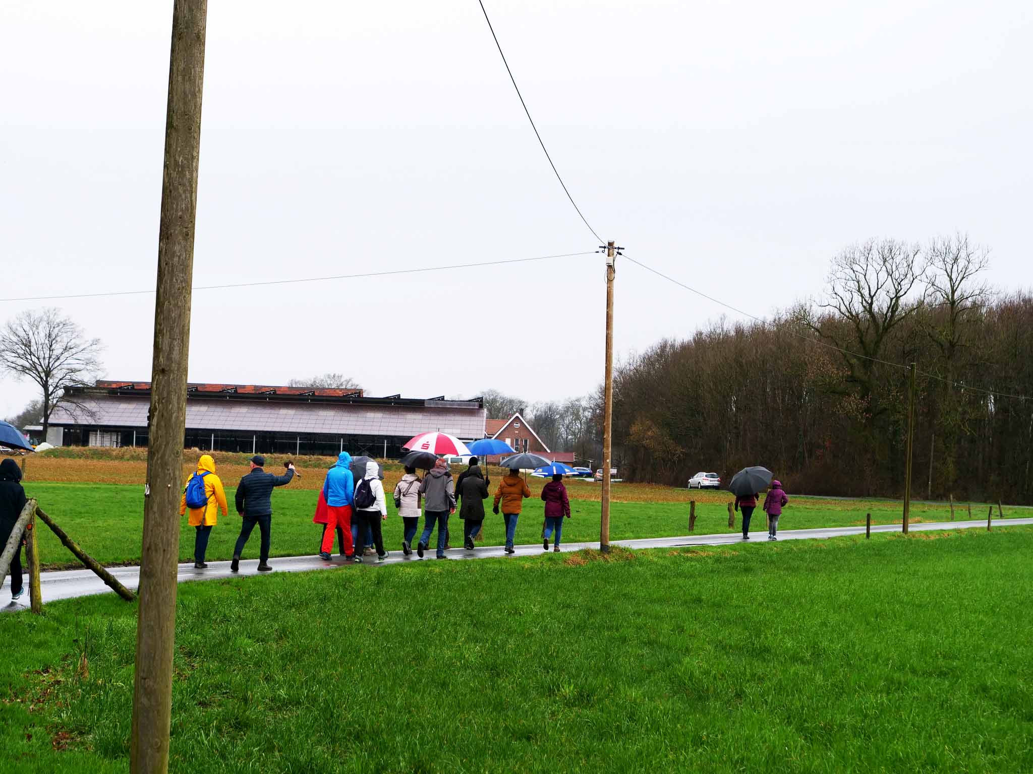 Bild  der Winterwanderung 2024 des Heimatvereins Rinkerode